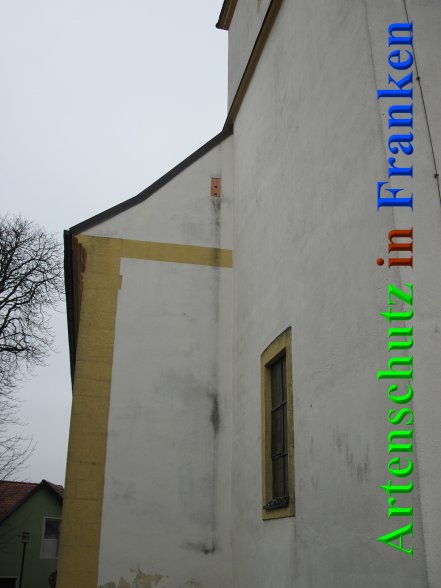 Bild zum Eintrag (44373-160)