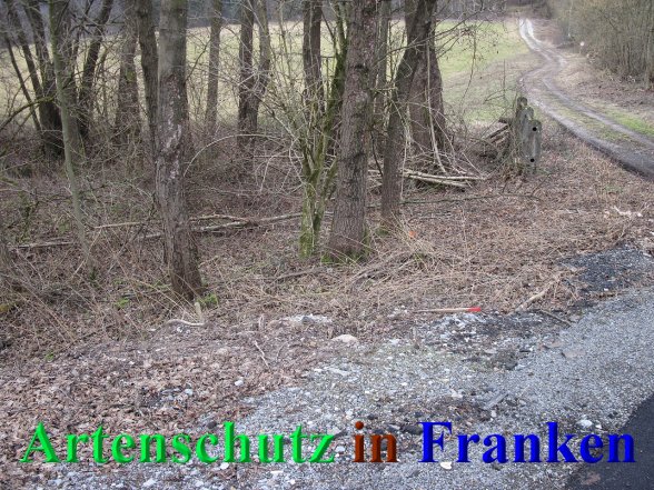 Copyright AiS -Kemmer Bild zum Eintrag (44397-160)