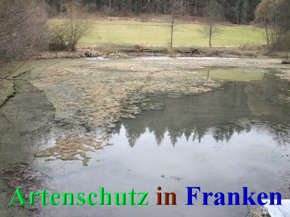 Copyright AiS - Kemmer Bild zum Eintrag (44398-160)