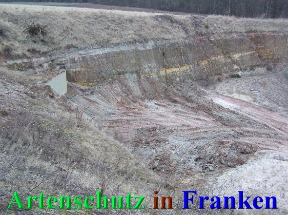 Copyright AiS - Kunze Bild zum Eintrag (44414-160)