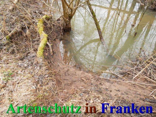 Bild zum Eintrag (44518-160)