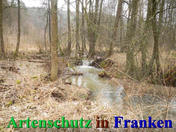 Bild zum Eintrag (44519-160)