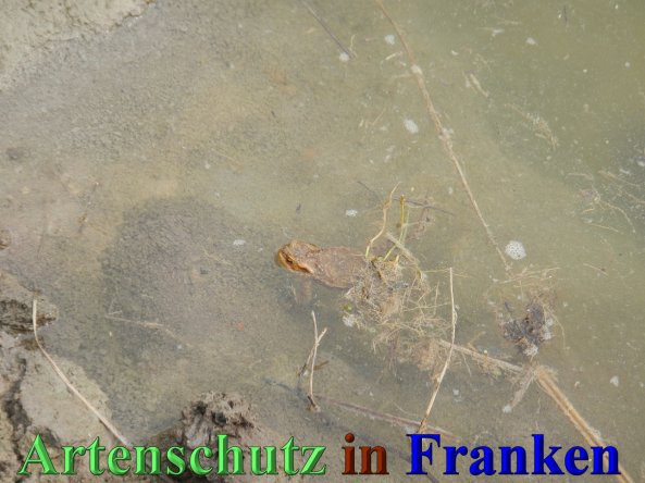 Bild zum Eintrag (44714-160)