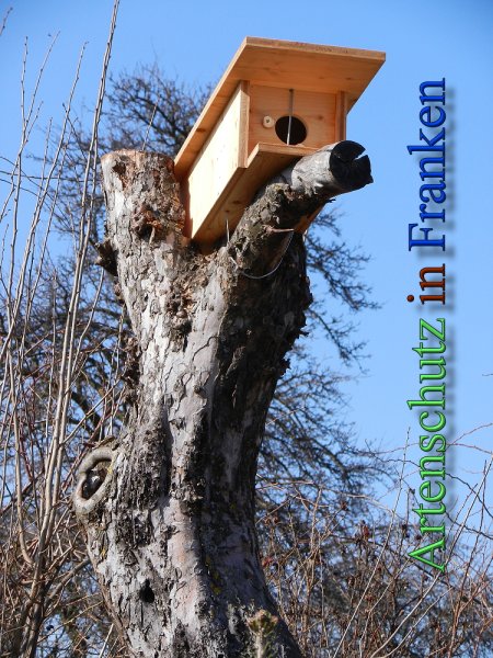 Copyright AiS - Mitterhuber Bild zum Eintrag (44809-160)