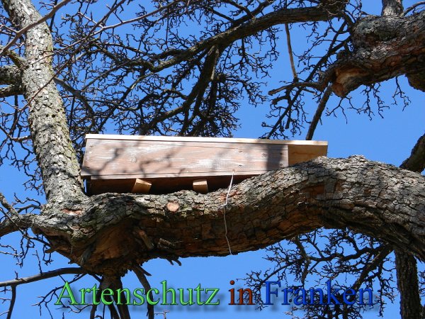 Copyright AiS - Mitterhuber Bild zum Eintrag (44810-160)