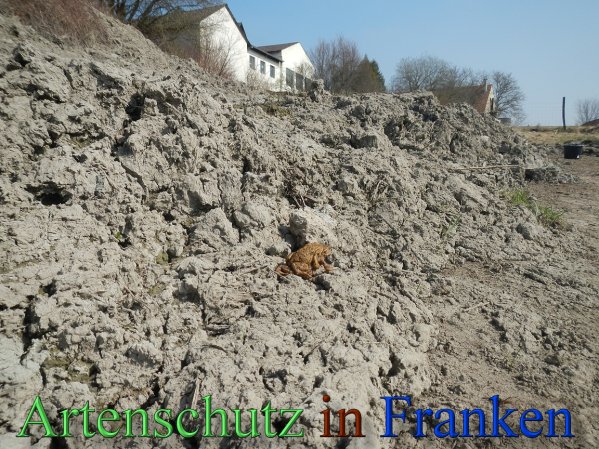 Bild zum Eintrag (44836-160)