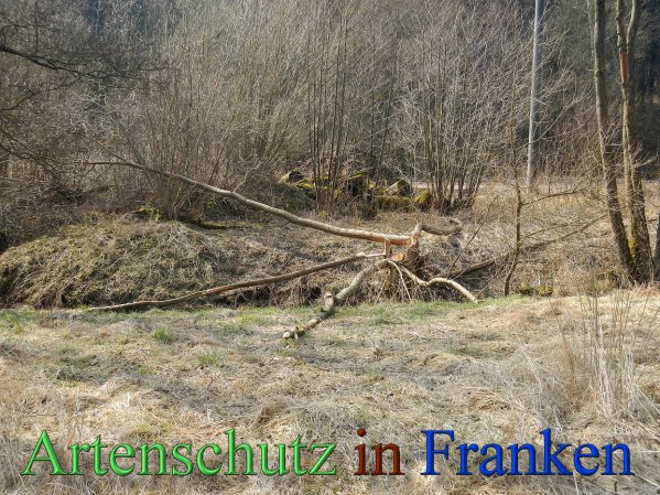 Bild zum Eintrag (44854-160)
