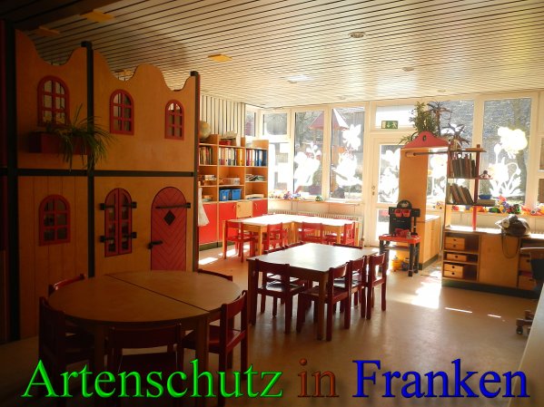 Bild zum Eintrag (44902-160)
