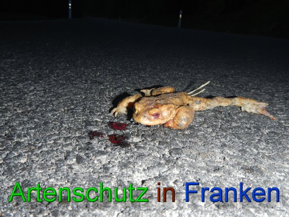 Copyright AiS - Schrauder Bild zum Eintrag (45019-160)
