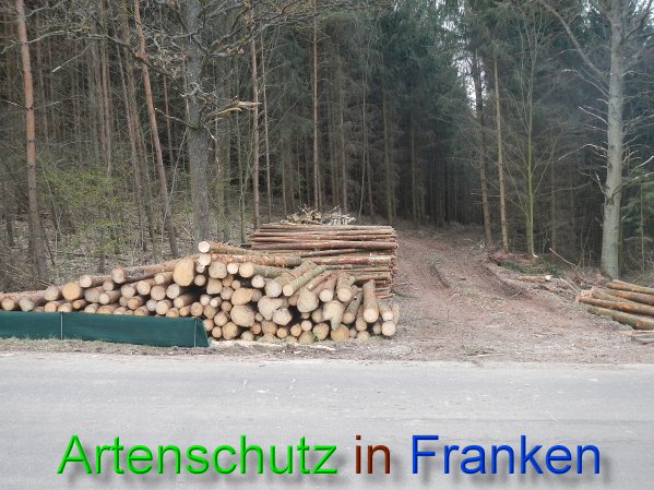 Bild zum Eintrag (45023-160)