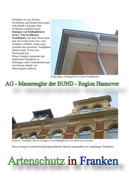 AG Mauersegler der BUND-Region Hannover Bild zum Eintrag (45285-160)