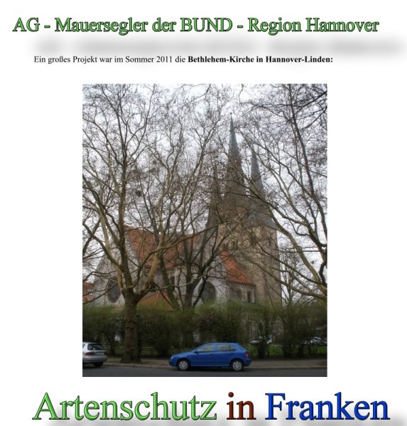 AG Mauersegler der BUND-Region Hannover Bild zum Eintrag (45287-160)