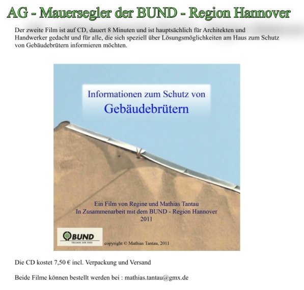 AG Mauersegler der BUND-Region Hannover Bild zum Eintrag (45291-160)