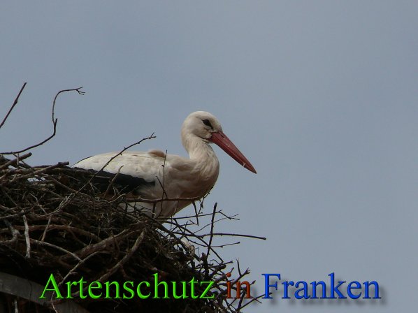 Bild zum Eintrag (45573-160)