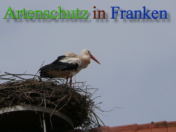 Bild zum Eintrag (45575-160)