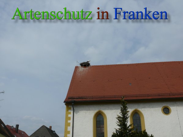Copyright AiS Löffler Bild zum Eintrag (45576-160)