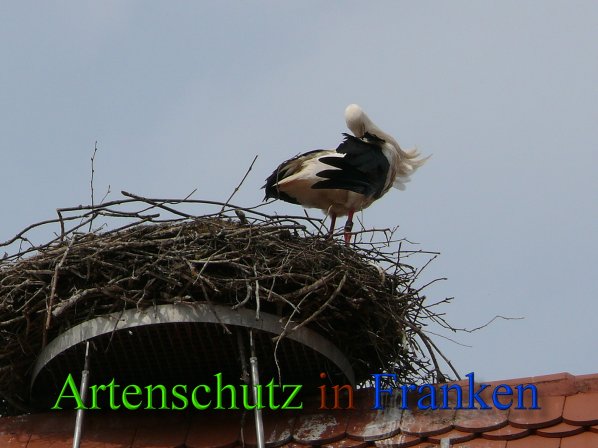 Copyright AiS Löffler Bild zum Eintrag (45578-160)