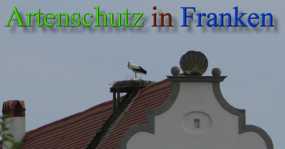 Copyright AiS - Löffler Bild zum Eintrag (45600-160)