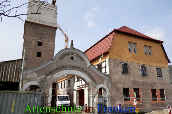 Copyright AiS- Albert Meier Bild zum Eintrag (45651-160)