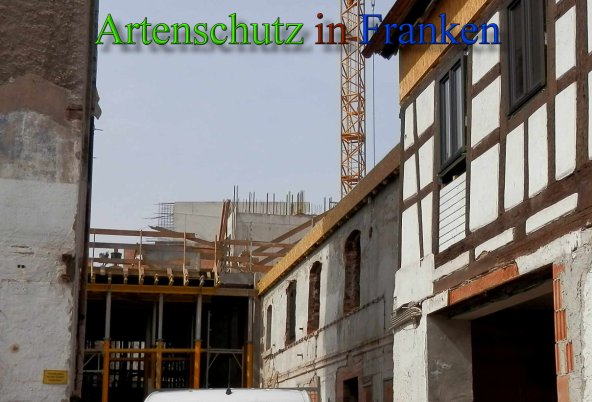 Copyright AiS- Albert Meier Bild zum Eintrag (45653-160)