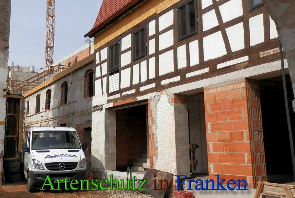 Copyright AiS- Albert Meier Bild zum Eintrag (45654-160)