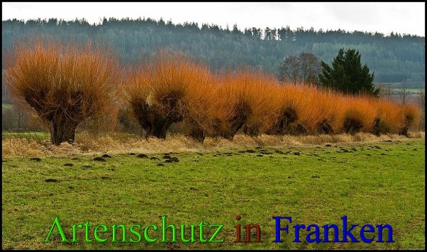 Copyright AiS-Johannes Rother Bild zum Eintrag (45677-160)