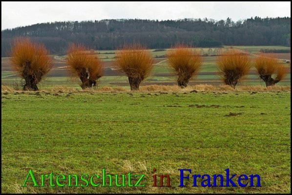 Copyright AiS-Johannes Rother Bild zum Eintrag (45678-160)