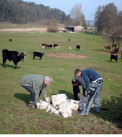 Copyright AiS - Fränkischer Tag Dieter Grams Bild zum Eintrag (45700-160)