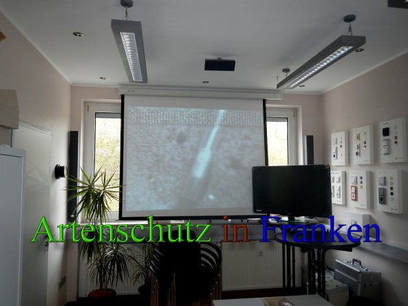 Bild zum Eintrag (45737-160)
