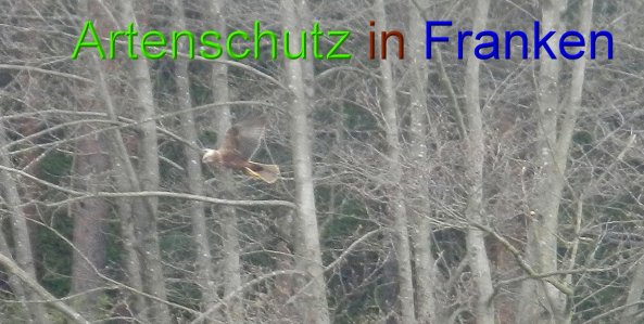 Bild zum Eintrag (45826-160)