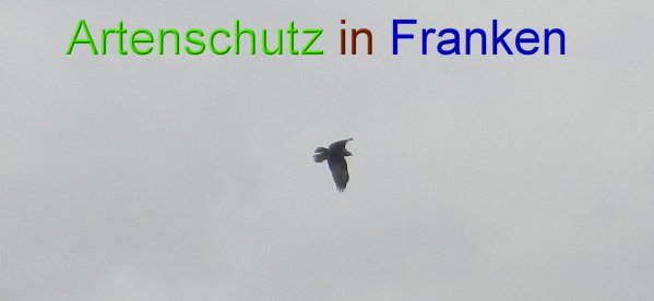 Bild zum Eintrag (45827-160)