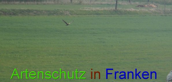 Bild zum Eintrag (45828-160)