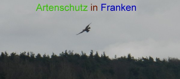 Bild zum Eintrag (45829-160)