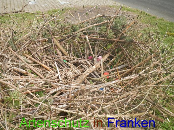 Bild zum Eintrag (45832-160)