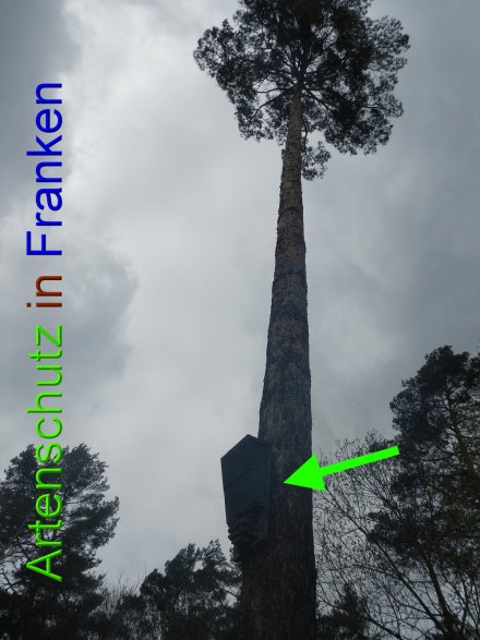 Bild zum Eintrag (45856-160)