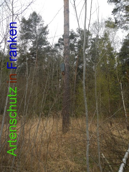 Bild zum Eintrag (45857-160)
