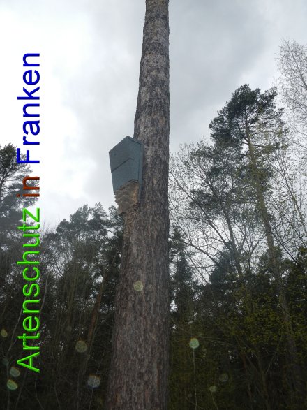 Bild zum Eintrag (45858-160)