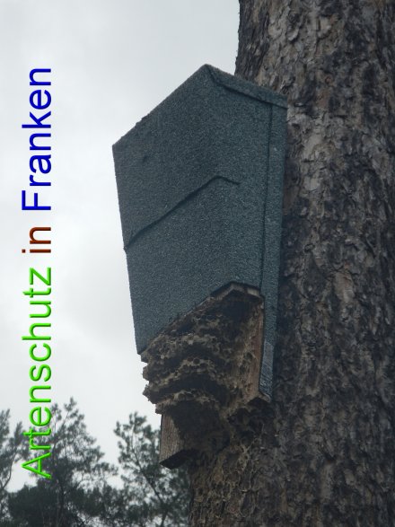 Bild zum Eintrag (45859-160)