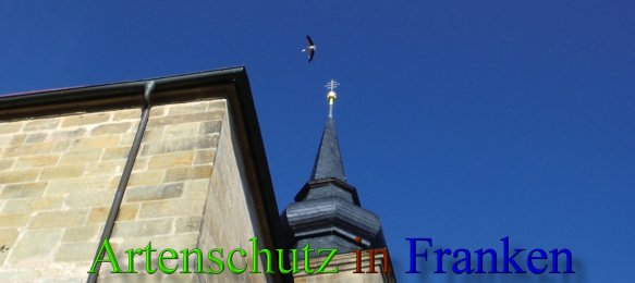 Bild zum Eintrag (46031-160)