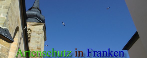 Bild zum Eintrag (46032-160)