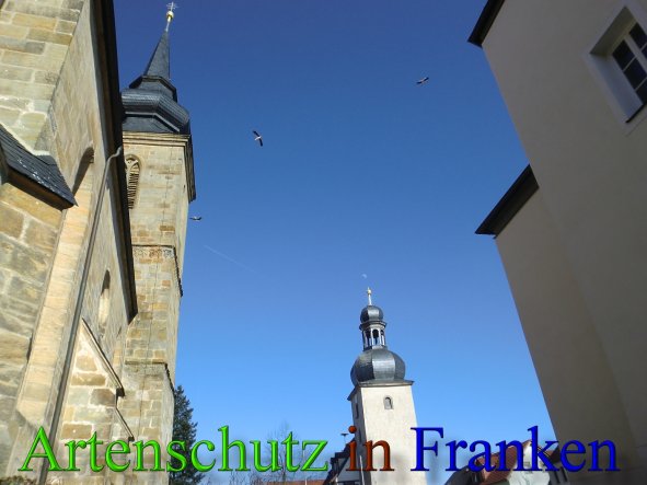 Bild zum Eintrag (46034-160)