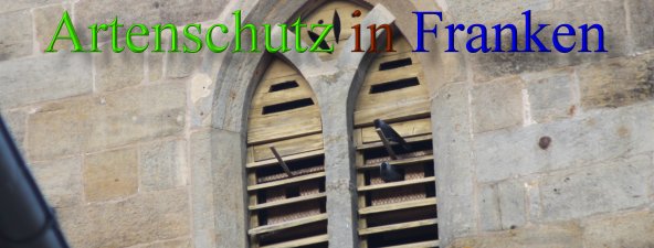 Copyright AiS Stingl Bild zum Eintrag (46058-160)