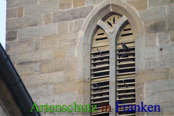 Copyright AiS Stingl Bild zum Eintrag (46059-160)
