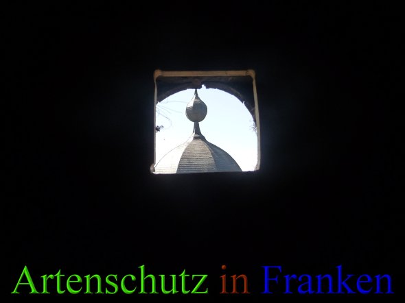 Bild zum Eintrag (46095-160)