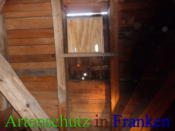 Bild zum Eintrag (46096-160)