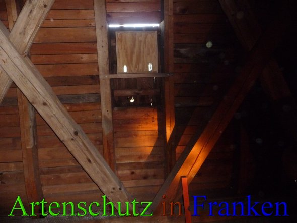 Bild zum Eintrag (46097-160)
