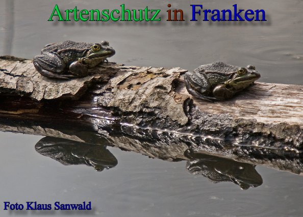 Copyright AiS-Klaus Sanwald Bild zum Eintrag (46153-160)