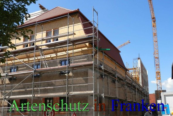 Copyright AiS- Albert Meier Bild zum Eintrag (46378-160)