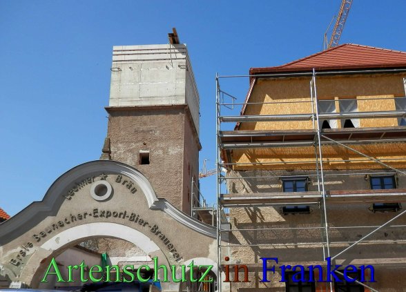 Copyright AiS- Albert Meier Bild zum Eintrag (46379-160)
