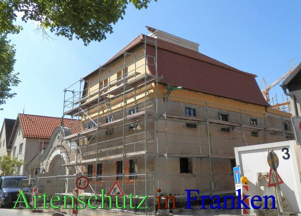 Copyright AiS- Albert Meier Bild zum Eintrag (46380-160)